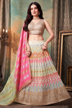 Cream organza lehenga full-length view with embroidered dupatta