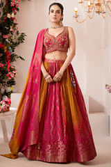 Back view of ombre organza bandhej printed lehenga for women
