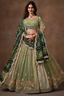 Sage Green Glass Tissue Lehenga Choli with Green Bandhej Dupatta