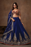 Dark Blue Banarasi Kinkhab and Dola Silk Heritage Lehenga Choli