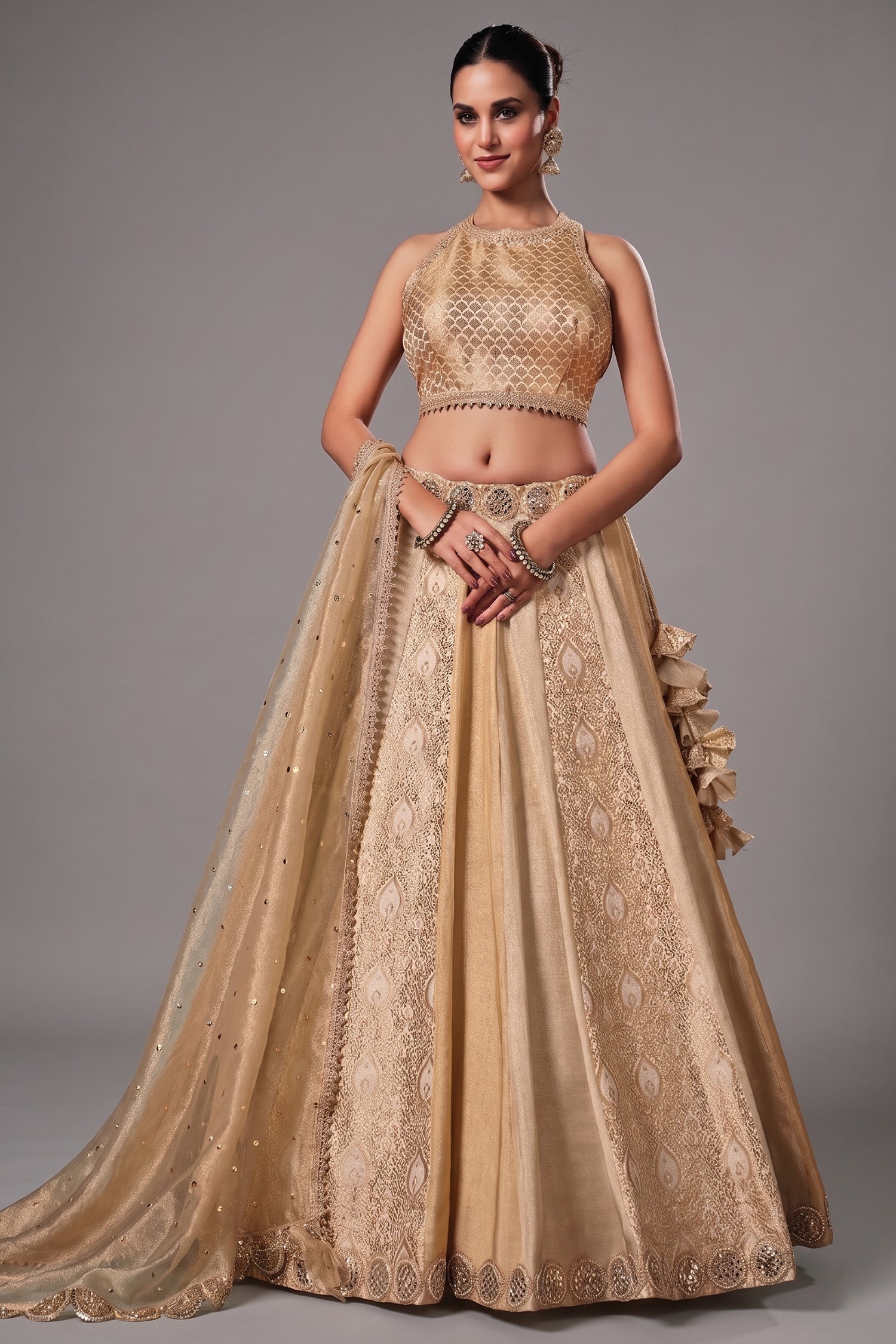 Ivory Tissue Silk and Banarasi Brocade Lehenga Choli Main image