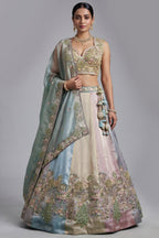 Multicolor Mint Panelled Organza Lehenga Choli with Botanical Peacock Embroidery