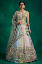 Multicolor Mint Panelled Organza Lehenga Choli with Botanical Peacock Embroidery
