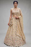 Warm Beige Tissue Lehenga Choli with Pastel Scalloped Mirror Embroidery
