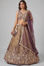 Bronze Tissue Lehenga Choli with Contrast Net Dupatta
