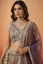 Bronze Tissue Lehenga Choli with Contrast Net Dupatta