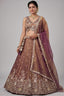 Rust Tissue Lehenga Choli with Embellished Floral Hem