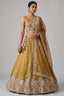 Mustard Yellow Tissue Lehenga Choli with Botanical Zardozi Embroidery