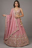 Blush Pink Tissue Lehenga Choli with Floral Lattice Embroidery