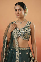 Rama Teal Silk Lehenga Choli with Tropical Botanical Embroidery
