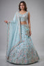 Sky Blue Lehenga Choli with Woodland Floral Embroidery