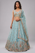 Celestial Sky Blue Lehenga Choli with Peacock Floral Border