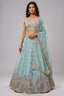 Celestial Sky Blue Lehenga Choli with Peacock Floral Border