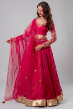 Rani Pink Organza Embroidered Lehenga Choli with Gold Border