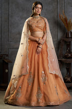 Rust Orange Organza Embroidered Lehenga Choli