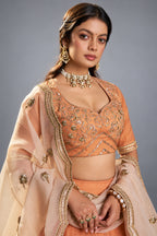 Rust Orange Organza Embroidered Lehenga Choli