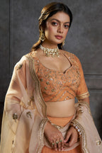 Rust Orange Organza Embroidered Lehenga Choli