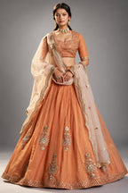 Rust Orange Organza Embroidered Lehenga Choli