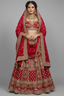 Bridal lehenga choli - saree holi