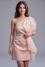 Blush Pink Organza Modal Silk One Shoulder Dress