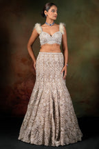 Champagne Beige Net Designer Embroidered Mermaid Style Lehenga Set
