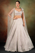 Silver Net Designer Lehenga Set with Cape Sleeves