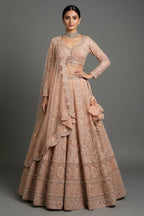 Peach Net Designer Handworked Lehenga - peach net saree