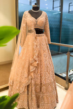 Peach Net Designer Handworked Lehenga - peach net saree