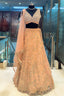 Pink Lycra Net Shimmer Designer Handworked Lehenga - pink net saree