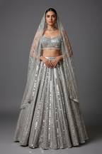 Silver Mirror Worked Embellished Lehenga - silver saree