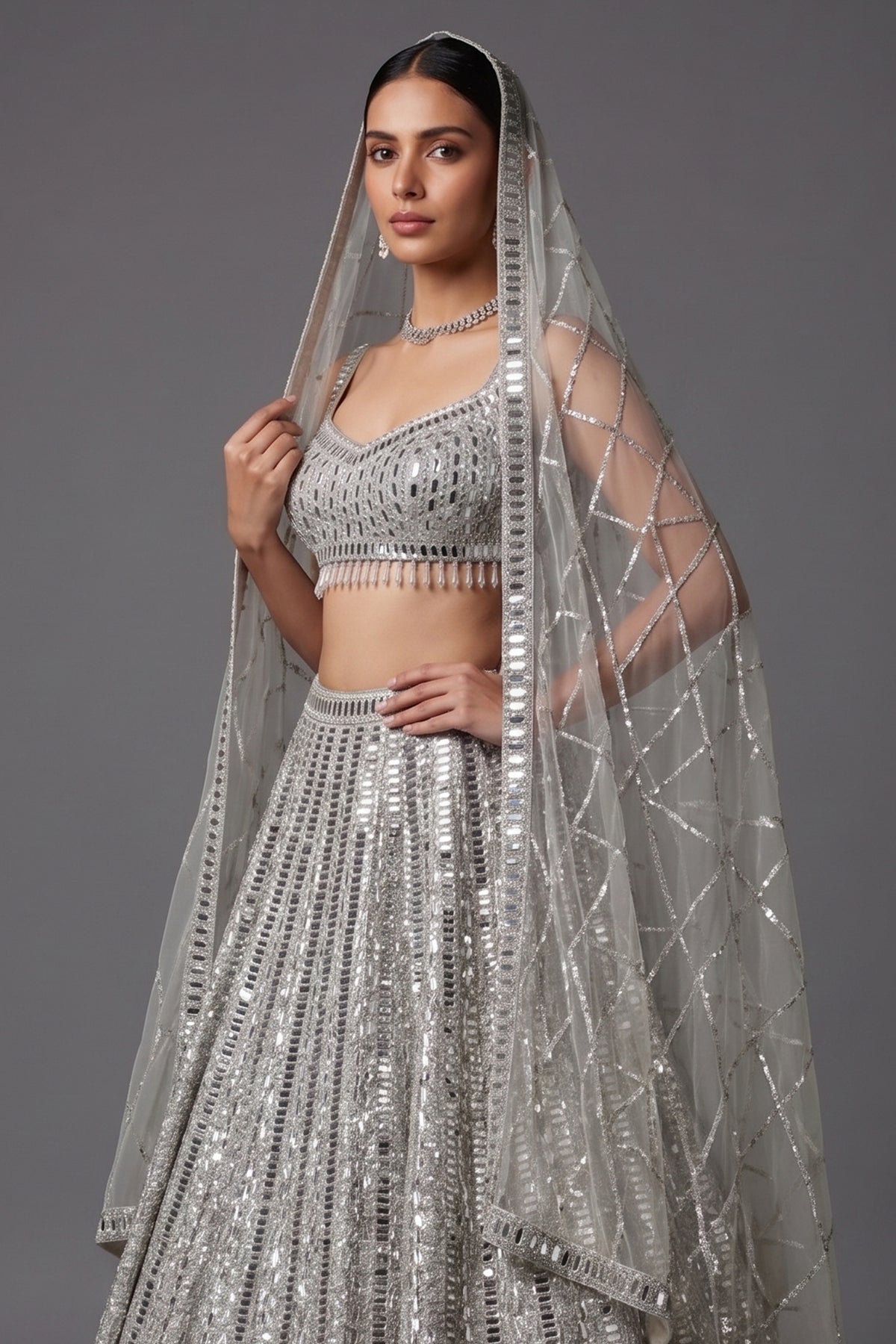 Silver Mirror Worked Embellished Lehenga - silver saree
