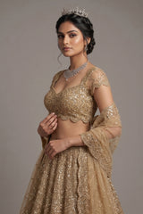 Golden Net Designer All Over Sequinned Lehenga - gold net saree