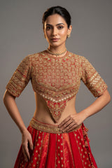 Maroon Raw Silk Tissue Paisley Motif Designer Bridal Lehenga with Double Dupatta - maroon silk saree