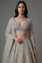 Grey Net Designer All Over Sequinned and Mirror Worked Lehenga - grey net saree