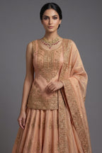 Blush Peach Tissue Embroidered Lehenga with Peplum Blouse - red saree embroidered