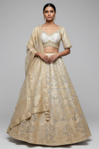 Off White Organza Woven Lehenga - white organza saree