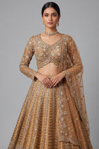 Brown Silk Mirror Worked Scallop Design Lehenga - brown silk saree