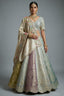 Multi Colored Tissue Silk Woven Lehenga - red silk saree