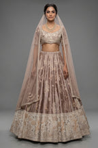Champagne Brown Silk Lehenga - Front View