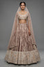 Champagne Brown Silk Lehenga - Front View