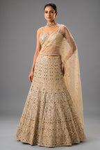 Champagne Gold Net Mermaid Lehenga - Front View