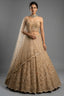 Champagne Gold Net Corset Lehenga - Front View