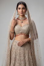 Royal Beige Net Bridal Lehenga with Luminescent Stone-Craft and Ethereal White Veil