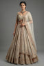 Beige Net Bridal Lehenga - Front View