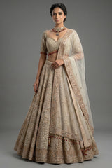 Beige Net Bridal Lehenga - Front View