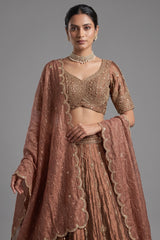 Brown Tissue Zardosi and Cutdana Worked Lehenga
