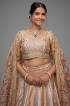 The Imperial Gold Jacquard Brocade Woven Silk Kalidar Lehenga Ensemble with Handcrafted Jewel Blouse and All-Over Cutwork Tissue Dupatta