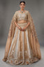 The Imperial Gold Jacquard Brocade Woven Silk Kalidar Lehenga Ensemble with Handcrafted Jewel Blouse and All-Over Cutwork Tissue Dupatta