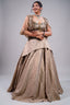 Metallic Taupe Fusion Lehenga Set featuring Cutdana Bodice and Sheer Embroidered Cape