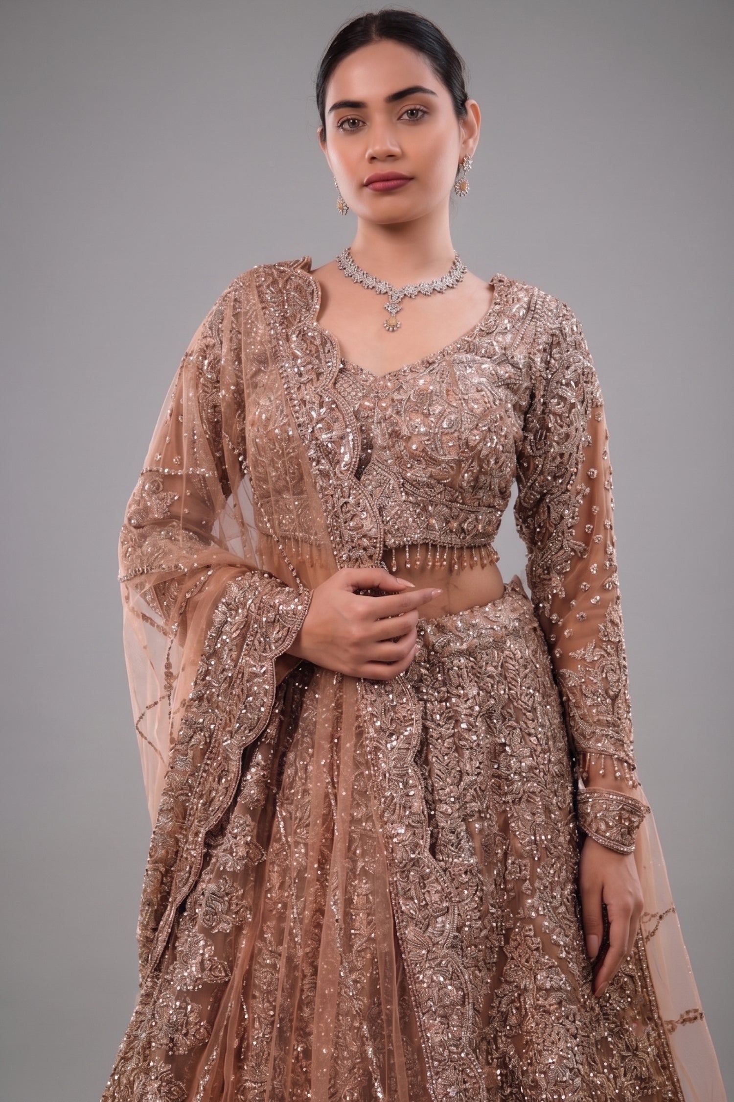 Rose Gold Beige Net Lehenga with Heavily Handcrafted Work Secondary image